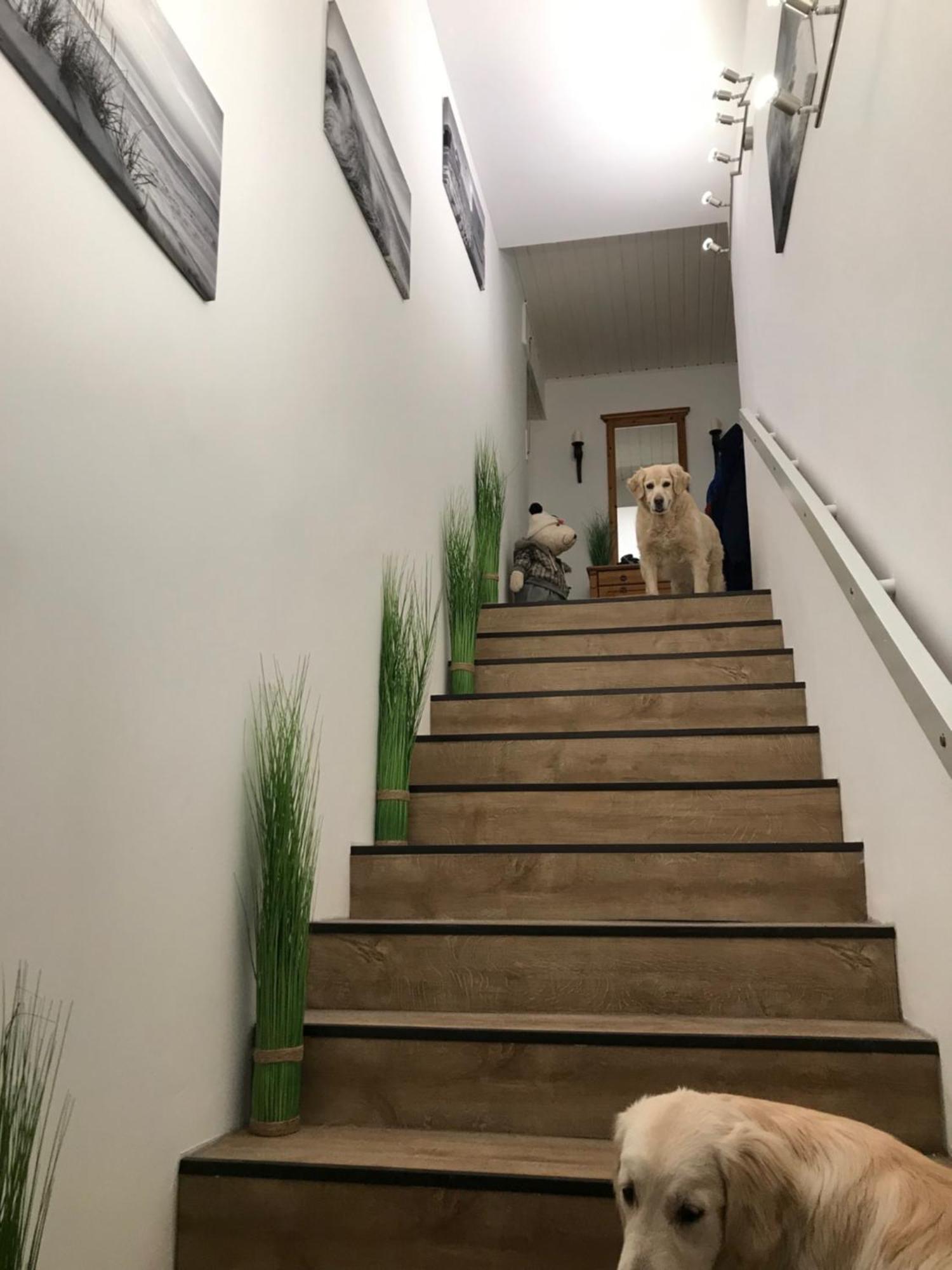 5 1/2 Zimmer Penthouse Luv Und Lee Schillig Eksteriør billede
